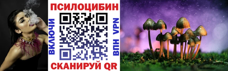 Псилоцибиновые грибы MAGIC MUSHROOMS  ссылка на мегу зеркало  Сунжа  наркошоп 